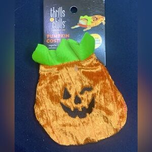 Pet Costume